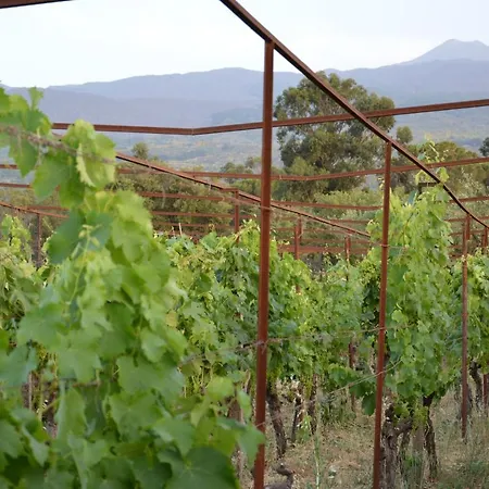 Alle Pendici Dell'etna - Casa A Statella - Nino's *