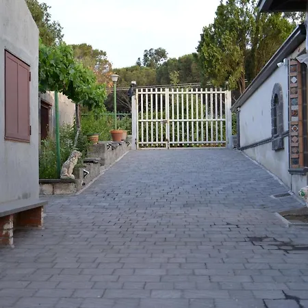 Alle Pendici Dell'etna - Casa A Statella - Nino's